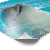 Happy Swimming Dolphin Foto Afdruk (Hoek)