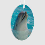 Happy Swimming Dolphin Ornament (voorkant)