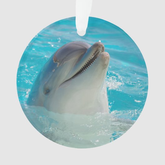 Happy Swimming Dolphin Ornament (voorkant)