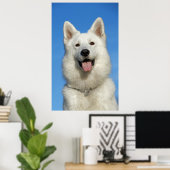 Happy Swiss Shepherd dog Poster (Thuiskantoor)