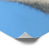 Happy Swiss Shepherd dog Poster (Hoek)