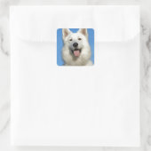 Happy Swiss Shepherd dog Vierkante Sticker (Tas)