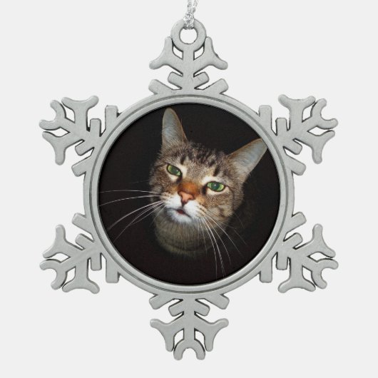Happy Tabby Wiskers Tin Sneeuwvlok Ornament (Voorkant)