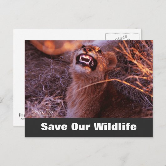 Happy Tau, bespaar ons Briefkaart in het wild (Voorkant / Achterkant)