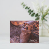 Happy Tau Briefkaart (Staand voorkant)