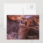 Happy Tau Briefkaart (Voorkant / Achterkant)