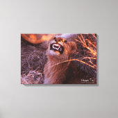 Happy Tau Canvas Afdruk (Voorkant)