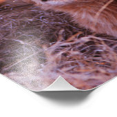 Happy Tau Foto Afdruk (Hoek)