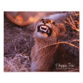 Happy Tau Foto Afdruk (Voorkant)