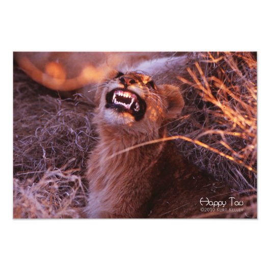 Happy Tau Foto Afdruk (Voorkant)