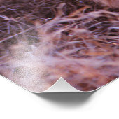 Happy Tau Foto Afdruk (Hoek)