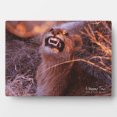 Happy Tau Fotoplaat (voorkant)