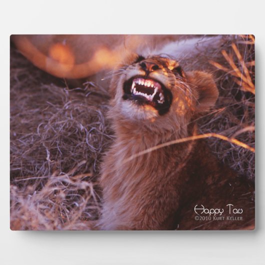 Happy Tau Fotoplaat (Voorkant)