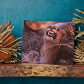 Happy Tau Fotoplaat (Zijkant)