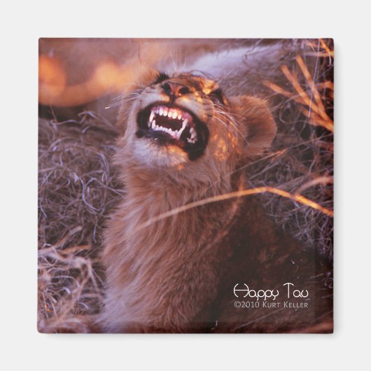 Happy Tau, glimlachend leeuwenkeub Magneet (Voorkant)