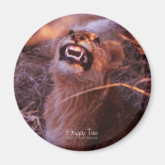 Happy Tau, glimlachend leeuwenkeub Magneet (Voorkant)