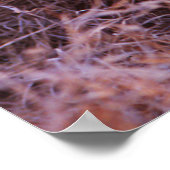 Happy Tau, glimlachend leeuwenkeub Poster (Hoek)