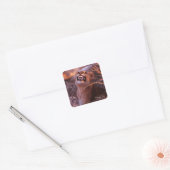Happy Tau, glimlachend leeuwenkeub Vierkante Sticker (Envelop)