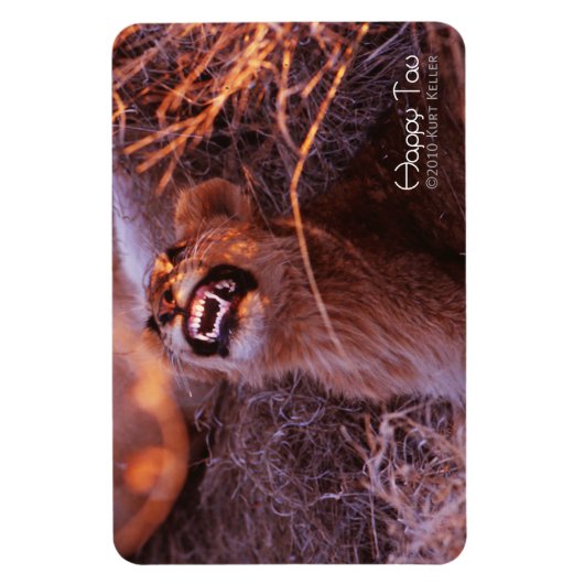 Happy Tau Magneet (Verticaal)