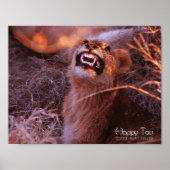 Happy Tau Poster (Voorkant)