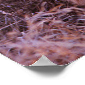 Happy Tau Poster (Hoek)