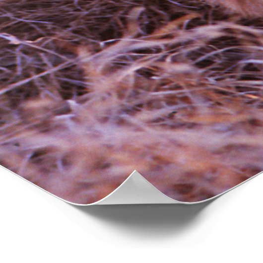 Happy Tau Poster (Hoek)