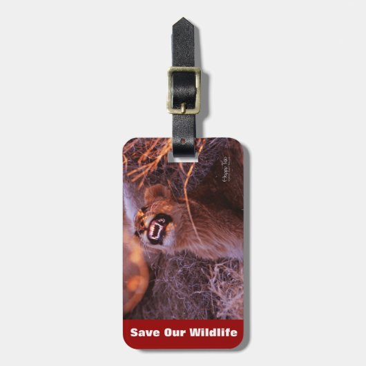 Happy Tau redt ons Bagagelabel in het wild (Voorkant verticaal)