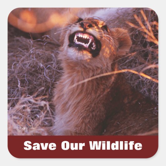 Happy Tau redt ons leven Vierkante Sticker (Voorkant)