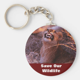 Happy Tau redt ons Sleutelhanger in het wild