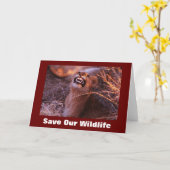 Happy Tau redt ons Wenskaart in het wild Kaart (Gele Bloem)