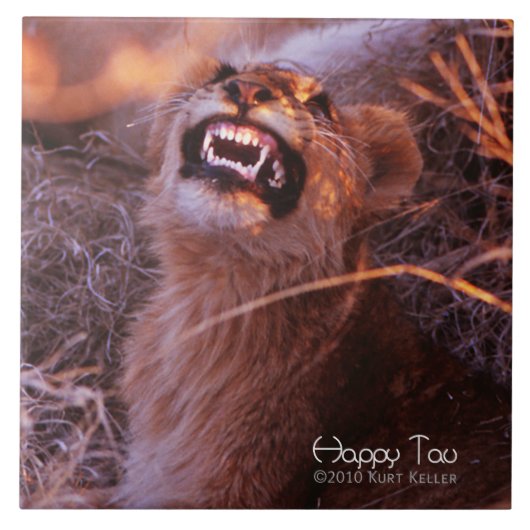 Happy Tau Tegeltje (Voorkant)