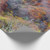 Happy Thanksgiving Beauful Uitzicht Autumn woud Cadeaupapier (Hoek)