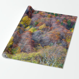 Happy Thanksgiving Beauful Uitzicht Autumn woud Cadeaupapier