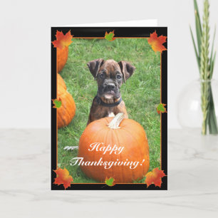 Happy Thanksgiving boxer puppy wenskaart Feestdagen Kaart