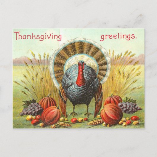 Happy Thanksgiving Day kalkoen met pompoenen Briefkaart (Voorkant)
