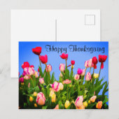 Happy Thanksgiving Diverse Tulips #3 Briefkaart (Voorkant / Achterkant)