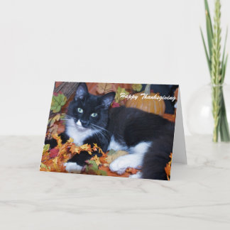 Happy Thanksgiving Feestdagen Kaart