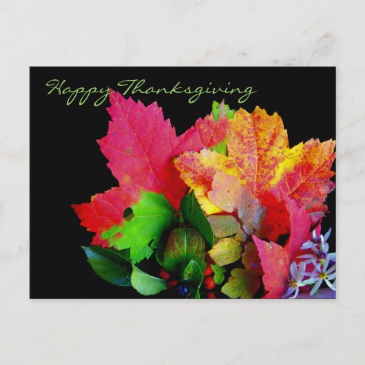 Happy Thanksgiving Foliage Briefkaarten (Voorkant)