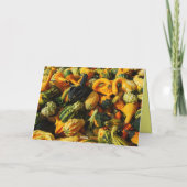 Happy Thanksgiving Gourds Wenskaart Feestdagen Kaart (Achterkant)