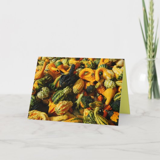 Happy Thanksgiving Gourds Wenskaart Feestdagen Kaart (Voorkant)