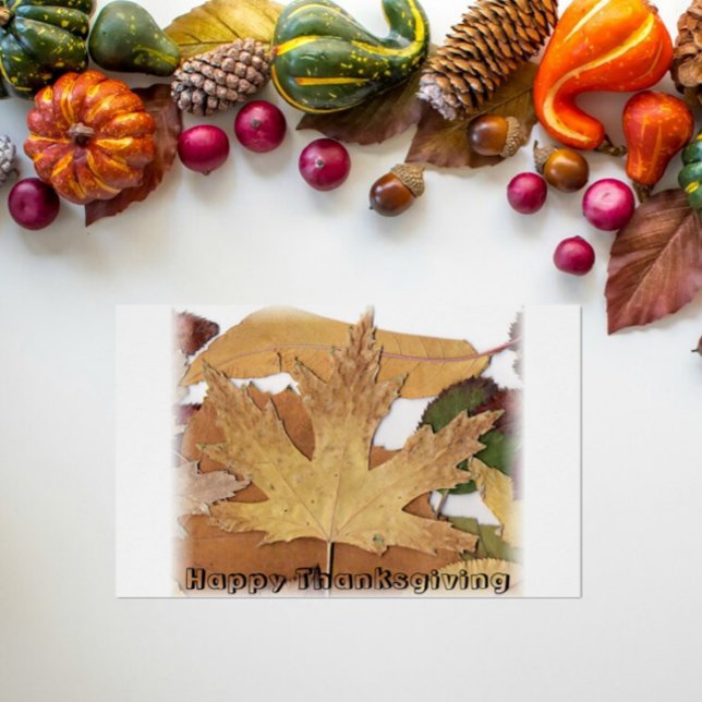 Happy Thanksgiving Herfst Foliage vervaagde grens (Creator heeft geüpload)