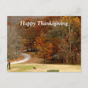 Happy Thanksgiving Herfst Foto Herfstbomen Herten Feestdagenkaart