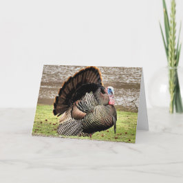 Happy Thanksgiving Kaart