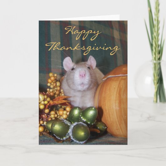 Happy Thanksgiving-kaart Feestdagen Kaart (Voorkant)