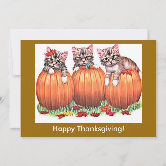 Happy Thanksgiving Kittens op Pumpkins, ZSSG Feestdagenkaart (Voorkant)