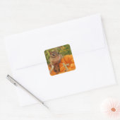 Happy Thanksgiving Kleine Chipmunk Sticker (Envelop)