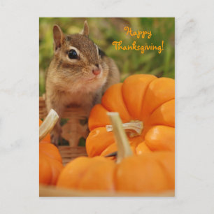 Happy Thanksgiving Little Chipmunk Briefkaart