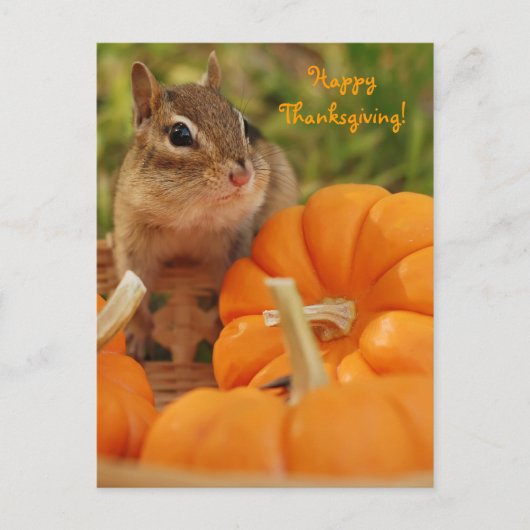Happy Thanksgiving Little Chipmunk Briefkaart (Voorkant)
