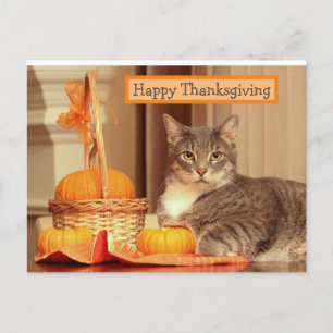 Happy Thanksgiving met Cat Wenskaart Feestdagenkaart