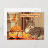 Happy Thanksgiving met Cat Wenskaart Feestdagenkaart (Voorkant / Achterkant)